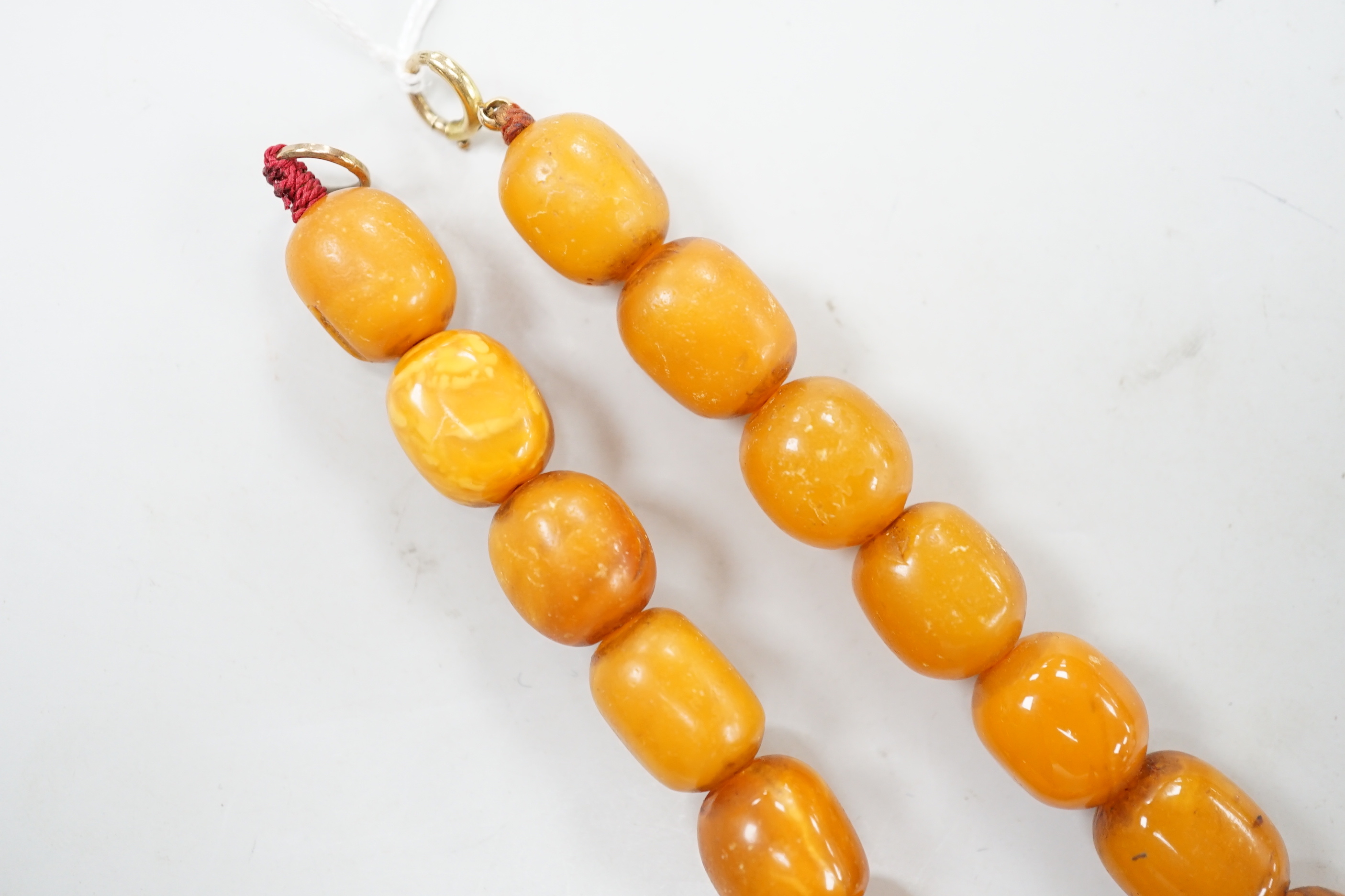 A single strand amber bead necklace, 36cm, gross weight 39 grams.